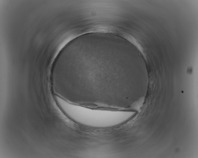 X0000092231091200709281059