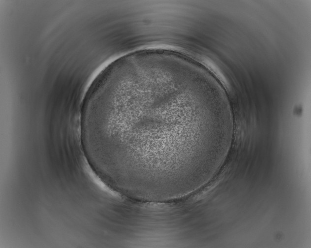 X0000092231092200709281059