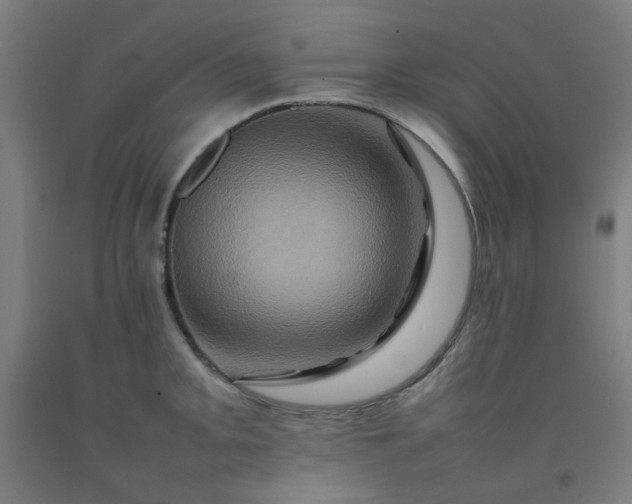 X0000092231093200709281059
