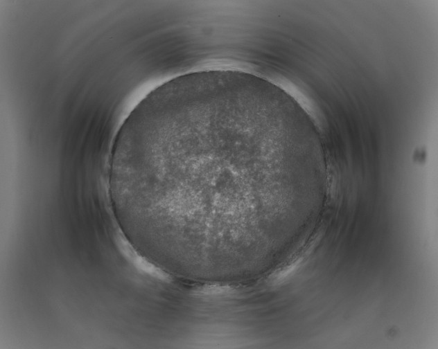 X0000092231094200709281059