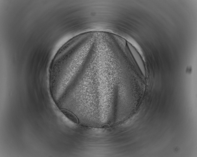 X0000092231096200709281059