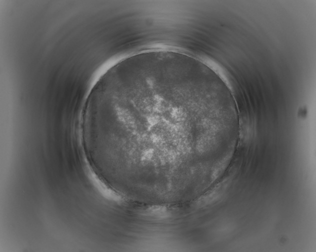 X0000092231098200709281059