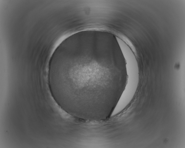 X0000092231099200709281059