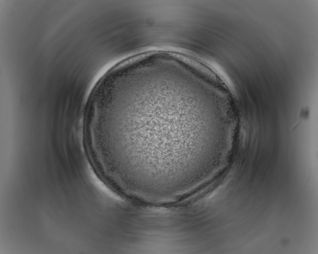 X0000092231100200709281059