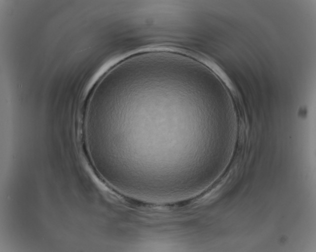 X0000092231101200709281059