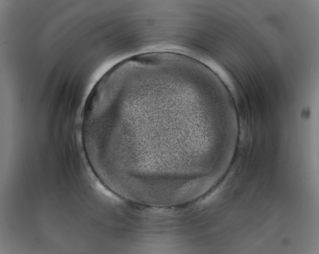 X0000092231102200709281059