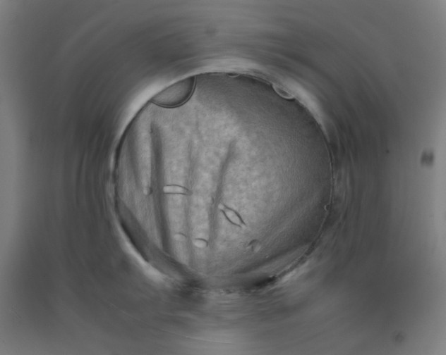 X0000092231103200709281059
