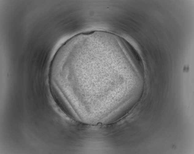 X0000092231104200709281059