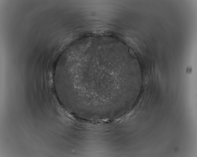 X0000092231106200709281058