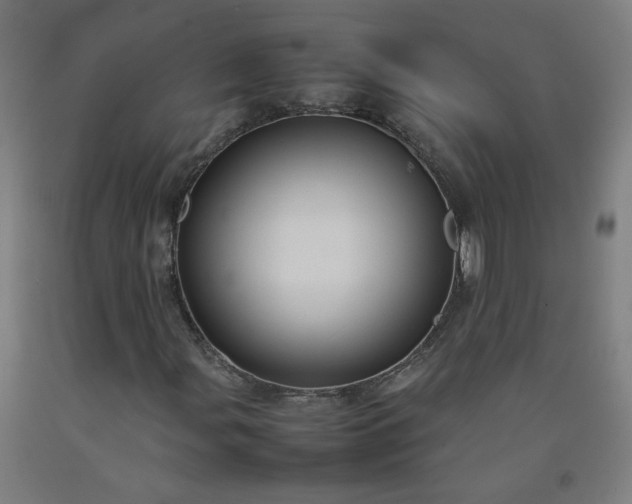 X0000092231107200709281058
