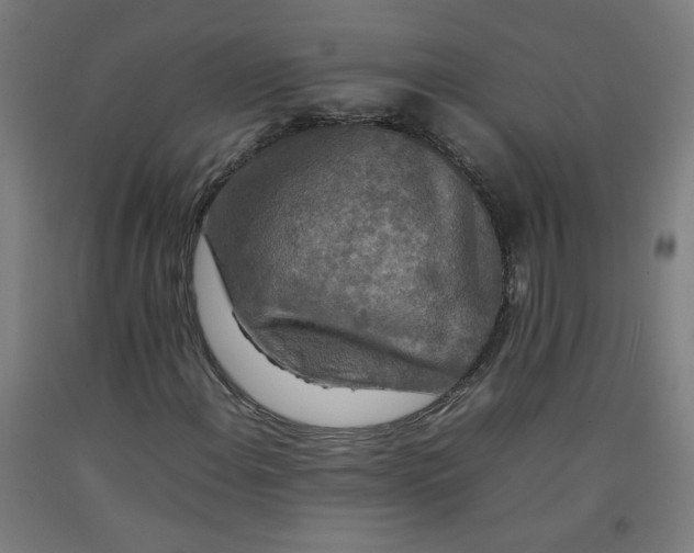 X0000092231108200709281058