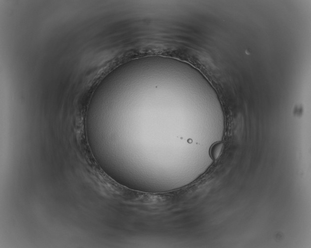 X0000092231109200709281058