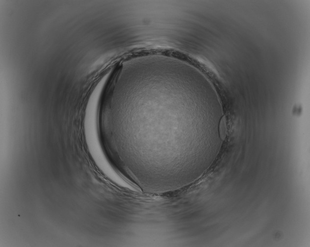 X0000092231110200709281058