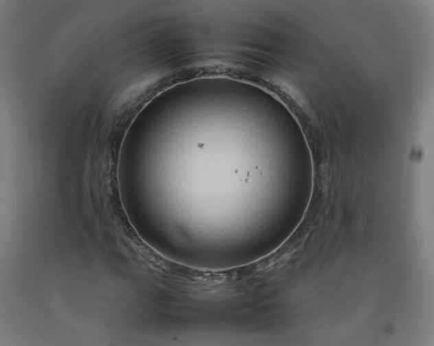 X0000092231111200709281058