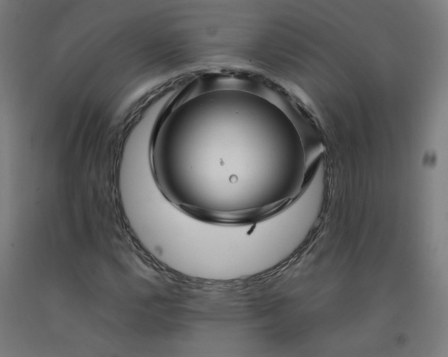 X0000092231112200709281058