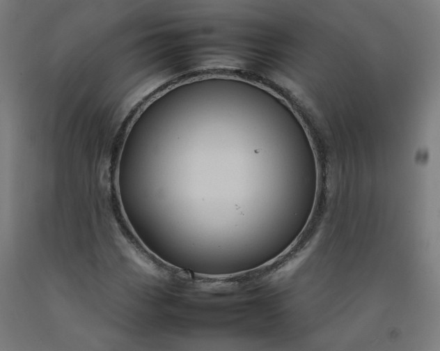 X0000092231113200709281058