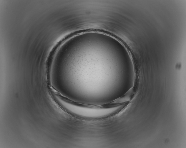 X0000092231118200709281058