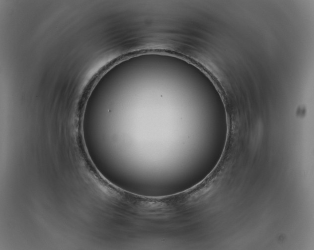 X0000092231119200709281058