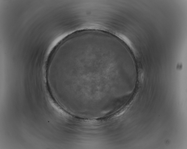 X0000092231120200709281058