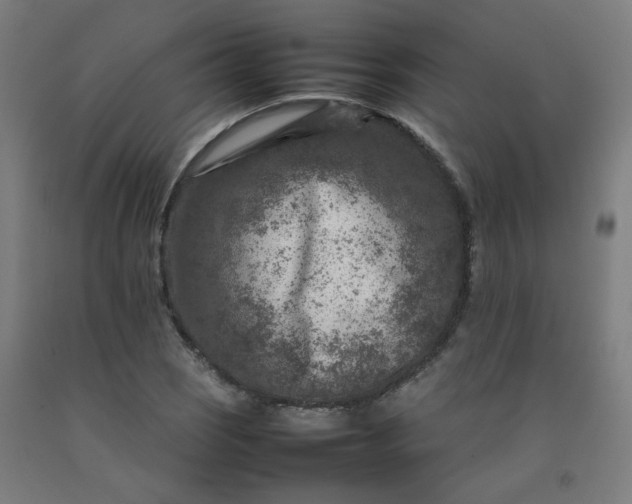X0000092231121200709281058