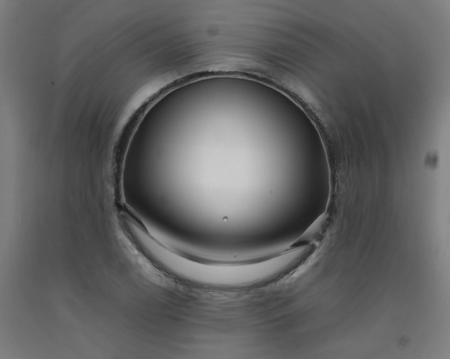 X0000092231122200709281058