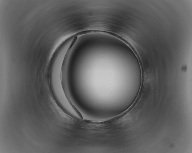 X0000092231123200709281058