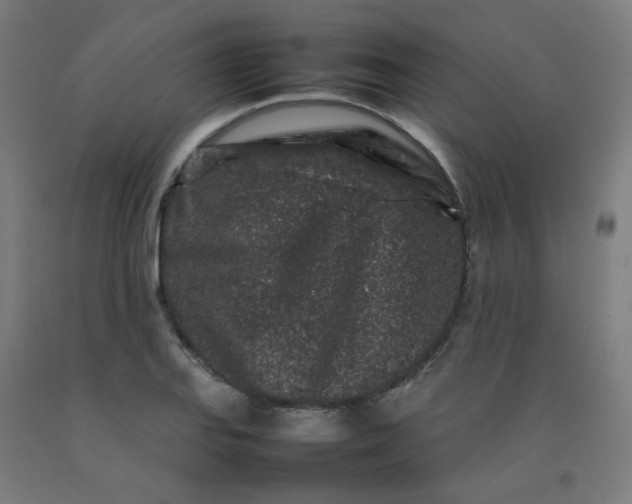 X0000092231127200709281058