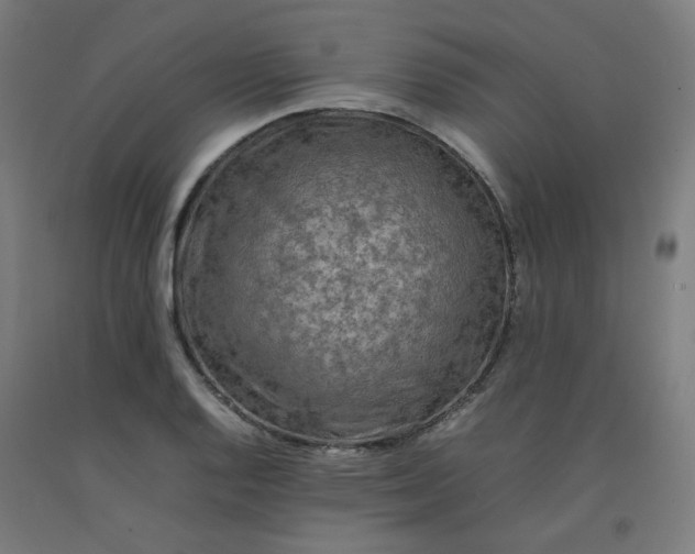X0000092231128200709281058