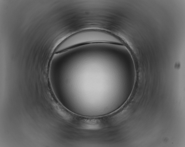 X0000092231129200709281058