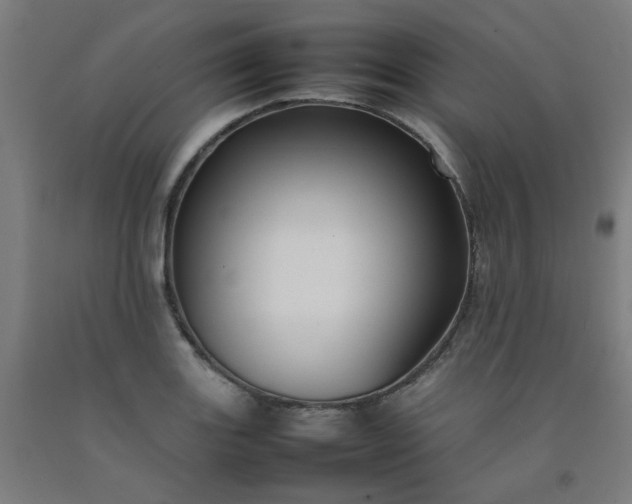X0000092231131200709281059