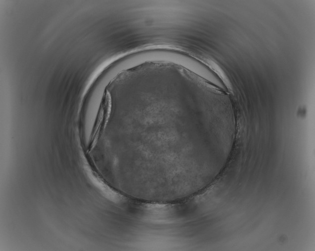 X0000092231132200709281059