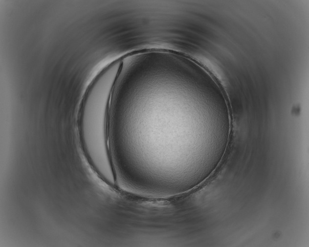 X0000092231133200709281059