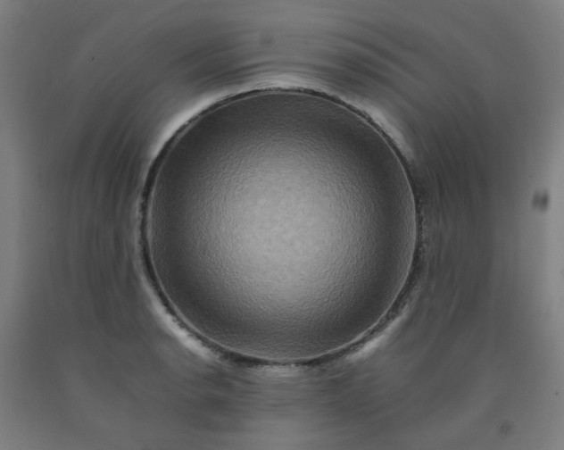 X0000092231134200709281059