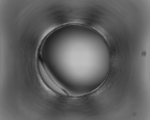 X0000092231135200709281059