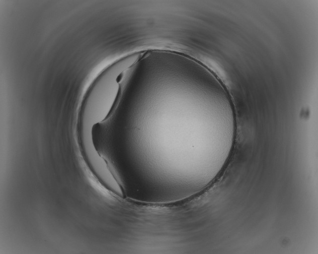 X0000092231136200709281059