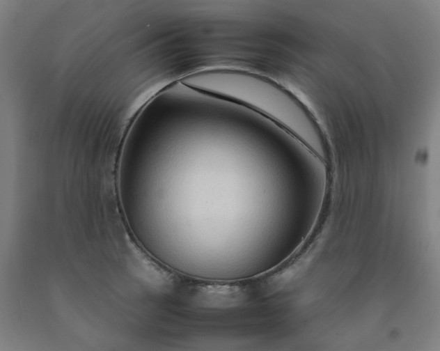 X0000092231137200709281059