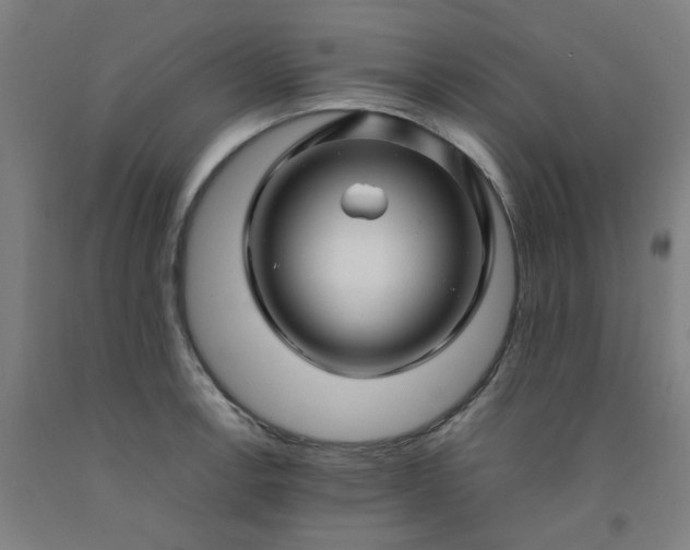 X0000092231138200709281059