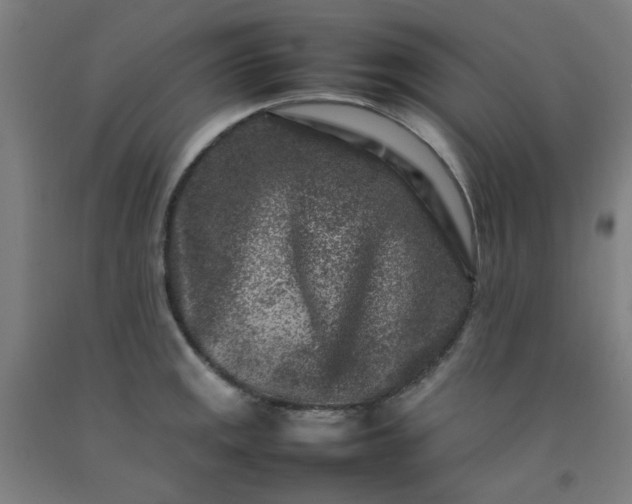 X0000092231141200709281059