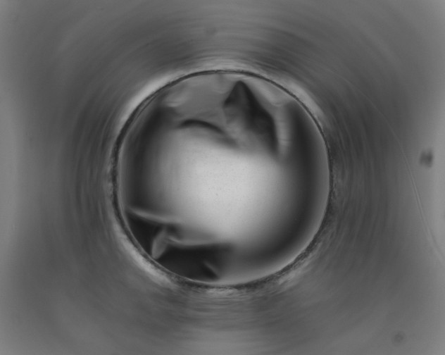 X0000092231142200709281059
