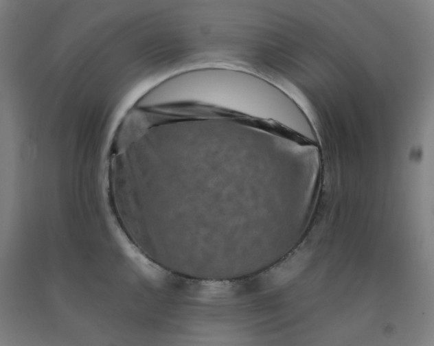 X0000092231144200709281059