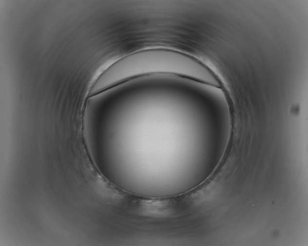 X0000092231145200709281059
