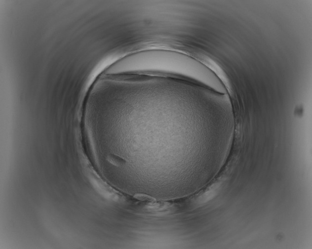 X0000092231146200709281059