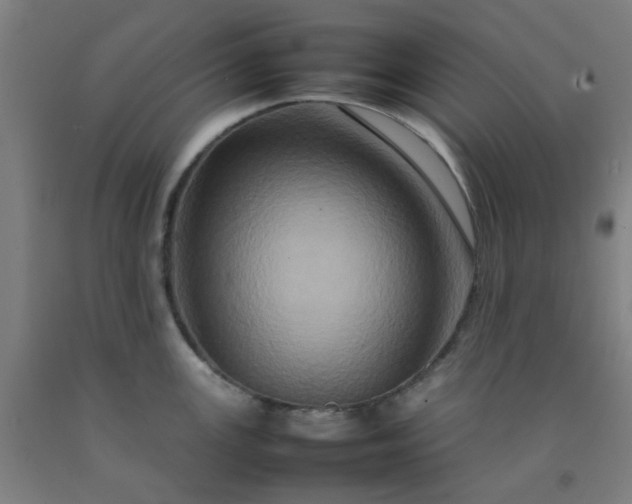 X0000092231147200709281059