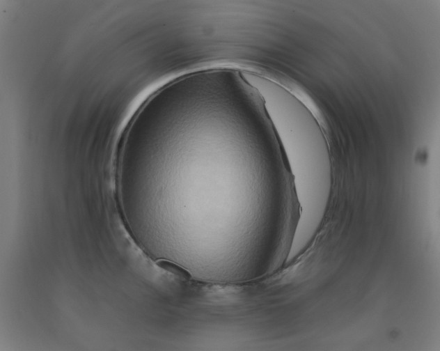 X0000092231148200709281059