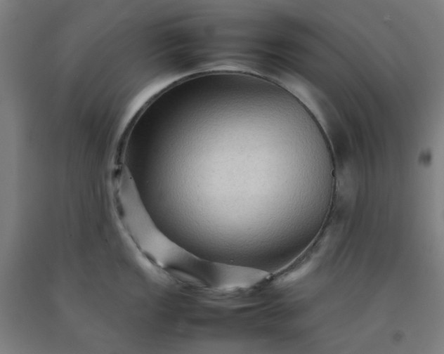 X0000092231149200709281059