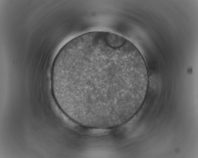 X0000092231150200709281059