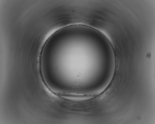 X0000092231151200709281059