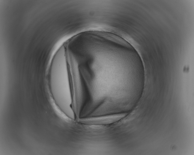 X0000092231152200709281059