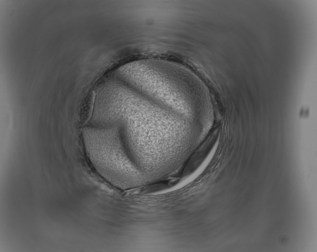 X0000092231153200709281058
