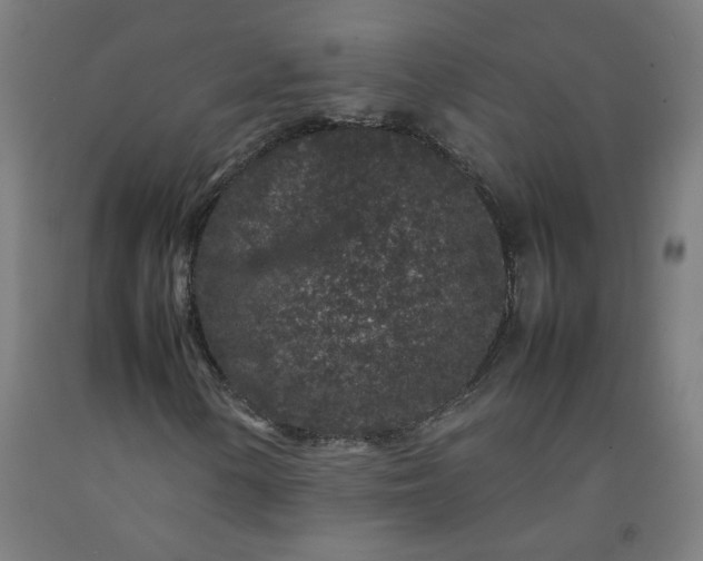 X0000092231154200709281058